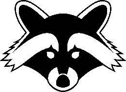 Raccoon